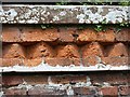 A wall detail at Monteviot House Gardens