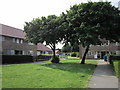 A small green on Saltash Road, Hull