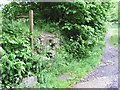 Hidden stile to Drybridge