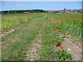 Footpath at East Barming