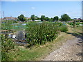 Allotments off North Street, Barming