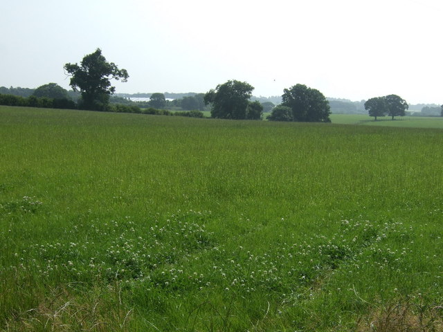 Farmland near Black Plantation