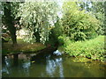 View of a small stream branching off from the Chelmer from North Hill road bridge