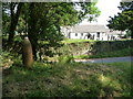 Shell casing beside the road near Llanfilo church