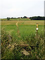 Stile on the Circular Walk