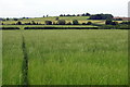 Footpath towards Hoggeston