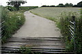 Cattle grid over the brook on the track from Crandon Farm