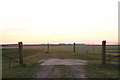 Field boundary on the bank of the old Fleet Drain