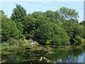 Fishing Lake, Moor Lane