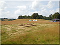 SU9721 : Archaeological dig - Petworth House by Paul Gillett