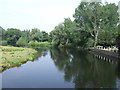 River Trent, Burton upon Trent