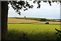 Farmland at Friarland