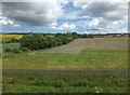 Farmland to the northwest of Birtley