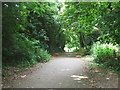 Spot Lane, near Downswood