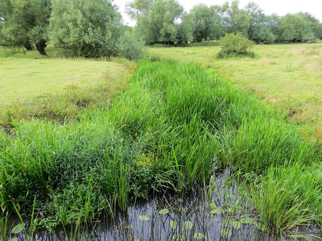 Side stream of the River Thame