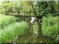 The River Thame from Cuddington Bridges