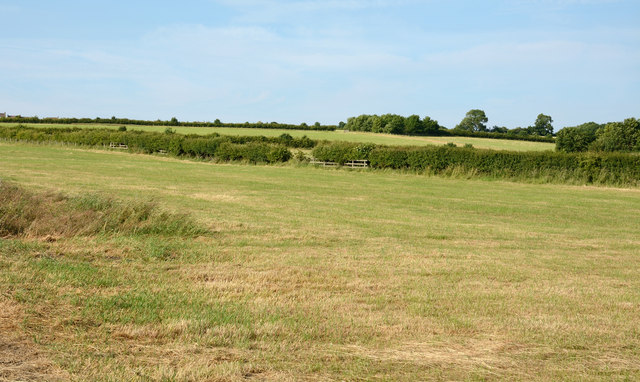 Field on north side of Hartbrigg Lane