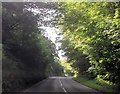 B4342 through woods south of Allt y wern