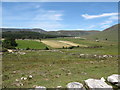 Hay fields in the upper Yellow Valley