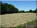 TQ8733 : Hay field on the edge of Tenterden by Christine Johnstone