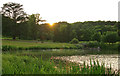 Sunset over Wormsley Park lake