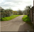 Lane to White House Farm Cider Shop near Crossway