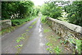 W1045 : Lane at Dromasta Bridge by Graham Horn