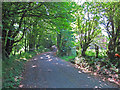 Old Haverfordwest Road at Poll Tax Inn, Castlebythe