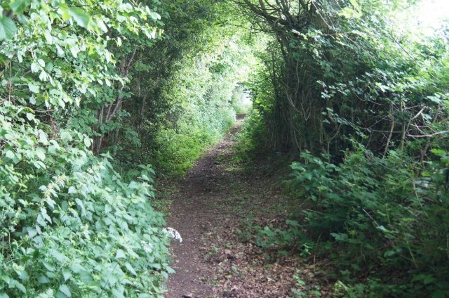 Bridleway to Sladen Green Farm