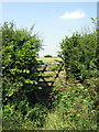 Footpath towards Filgrave