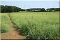 Footpath towards the Seven Acre Covert