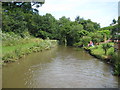 Ashby Canal: Reach near Mill Farm Park