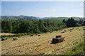 Making hay while the sun shines