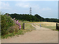 Footpath towards Rickmansworth