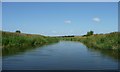 TQ8326 : River Rother, county boundary by Christine Johnstone