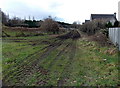 Muddy track on the north side of Lydney cemetery