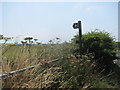 Footpath & stile beside Shaftesbury Lane