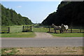 Paddocks by the footpath through Stowe Woods