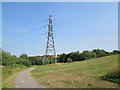 SJ9146 : Electricity pylon near Beverley Drive, Bentilee by David Weston