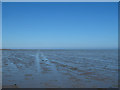 TQ9987 : The Broomway by Roger Jones