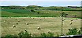 Harvest time by the M8 motorway