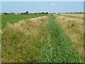 TL5180 : Grunty Fen Drain south of Coldmoor Farm by Richard Humphrey