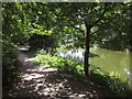 River Avon near Conham River Park