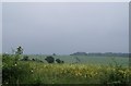 Grey view from Bugmore Hill