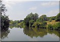TQ7153 : River Medway near Barming by Paul Gillett