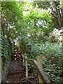 Steps, Avon Valley Park