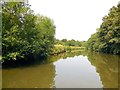 River Medway south of Maidstone