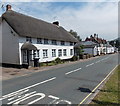 Semi-detached thatched cottages, Sidford