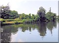 TQ7556 : River Medway near Whatman Park by Paul Gillett
