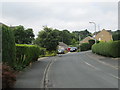 Poplar Grove - looking towards Cliffe Avenue